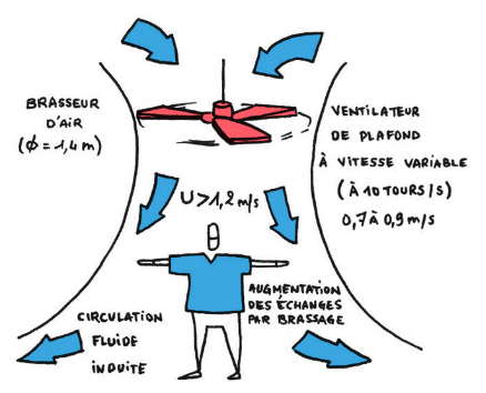 Un peu de physiologie pour comprendre pourquoi le brasseur d'air apporte du confort - Principe de ventilation d'un brasseur d'air plafonnier